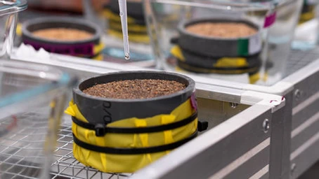 Application of water with a pipette to a biocrust-covered Chilean soil sample.