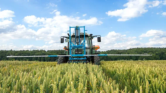 optical measurement of nutrient content in wheat