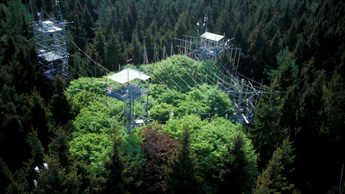 PTC  – Forest Research Unit