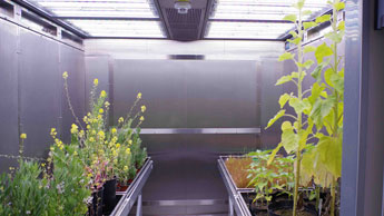 PTC – Greenhouses & Phytochambers Unit 