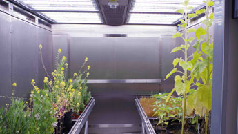 PTC – Greenhouses & Phytochambers Unit PTC – Greenhouses & Phytochambers Unit